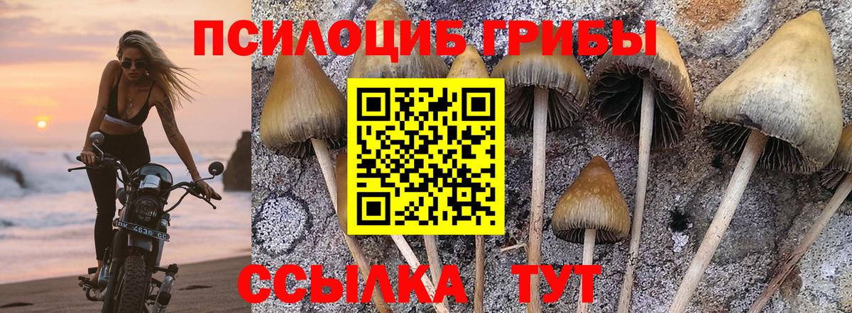 Галлюциногенные грибы Magic Shrooms Черногорск