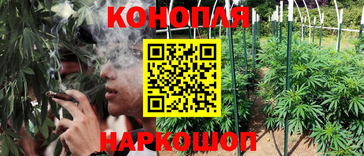 Конопля гибрид  Бошки марихуана планчик  Конопля LSD WEED  Вход с VPN  Черногорск 